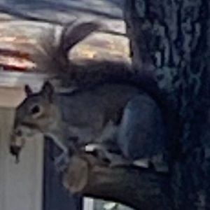 Meet your Posher, Mila